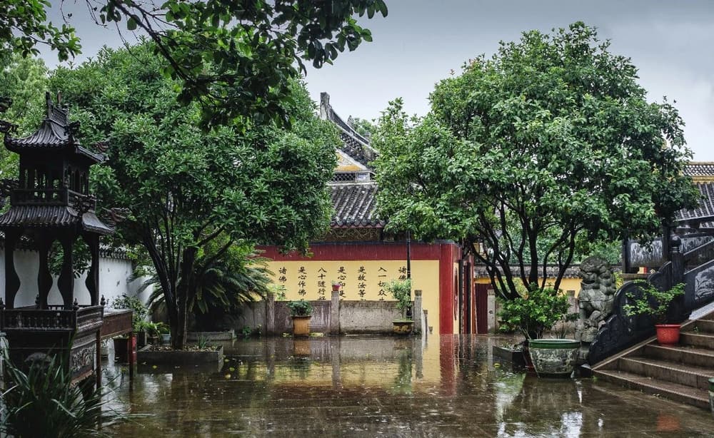 ������������ճ����������