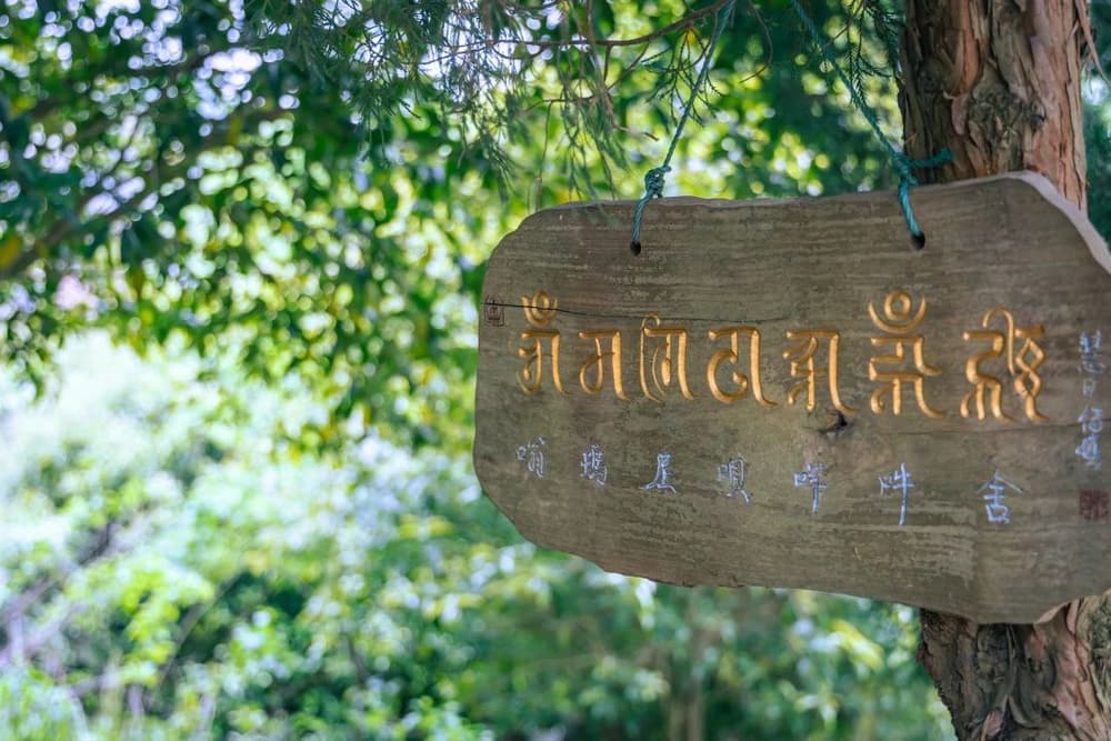 �����Ը�������������˾��ܹ��ı�