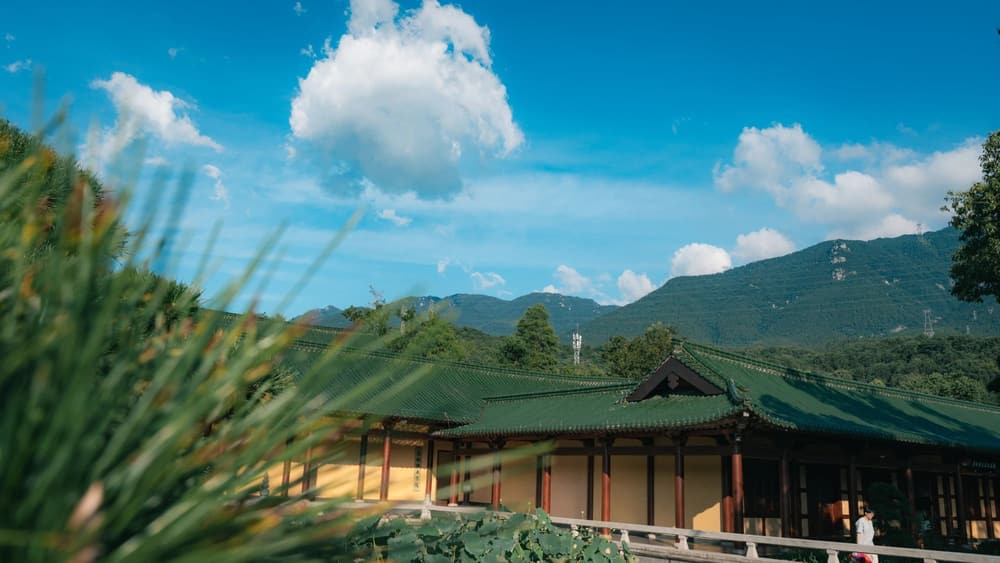 �վ����صĹ���