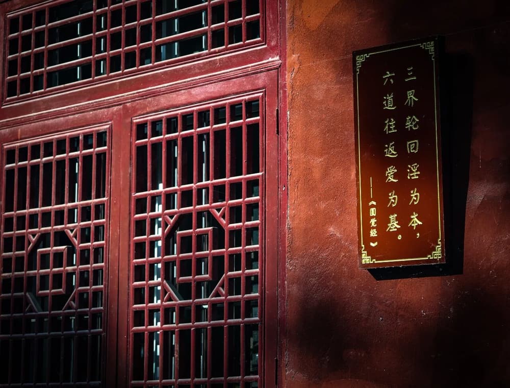 ���赶���ϵ����ǡ����׸�����̰�����ܿ������