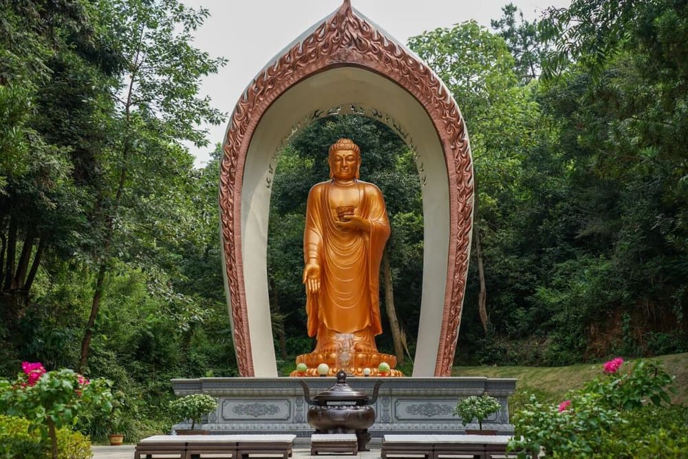 ������̵ġ��ָ���ǳ��������