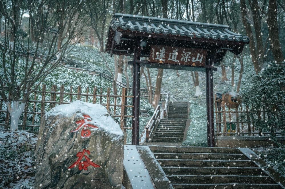 �����������������ӵ���˼��