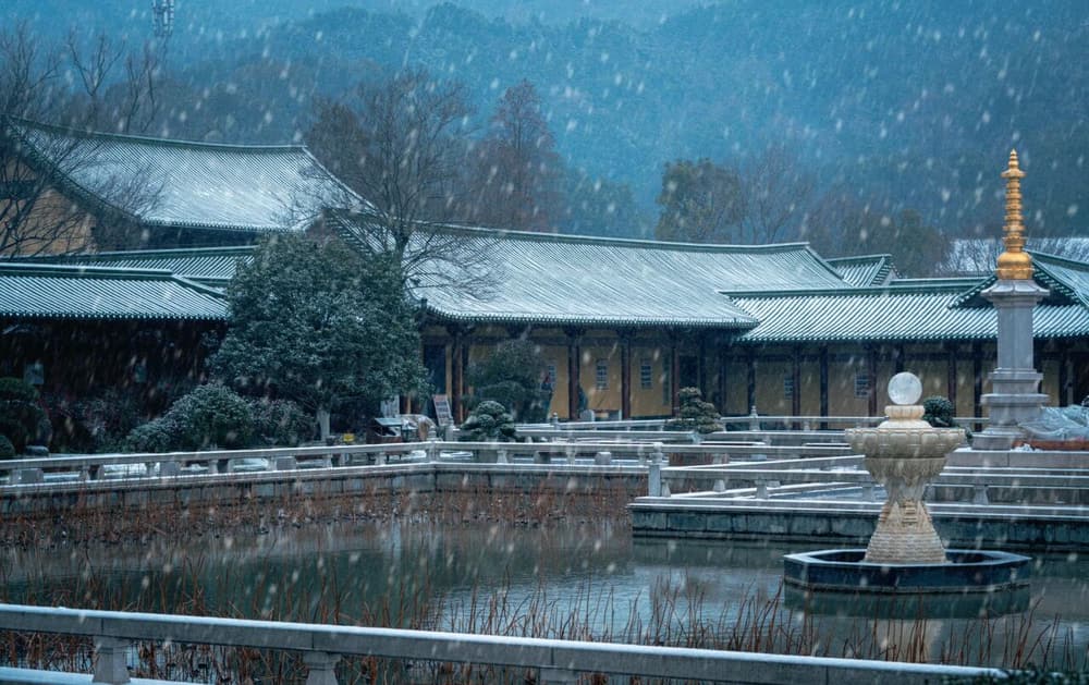 ������������ʲô����